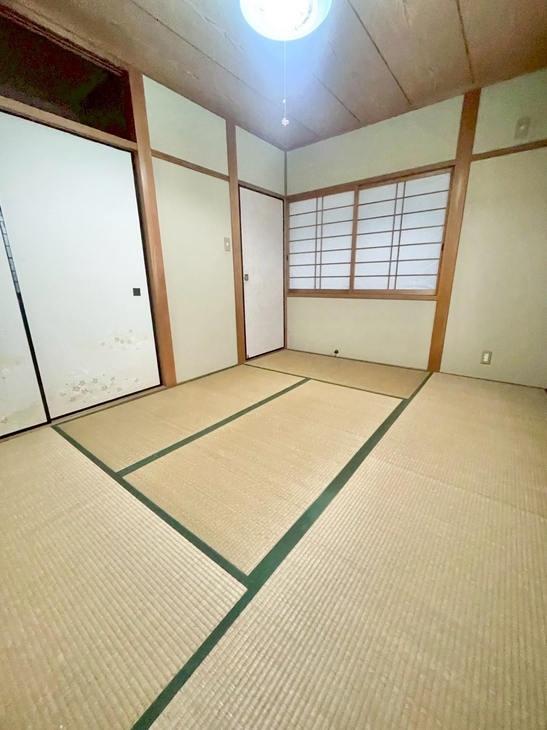 LINE_ALBUM_桜谷_260214_49